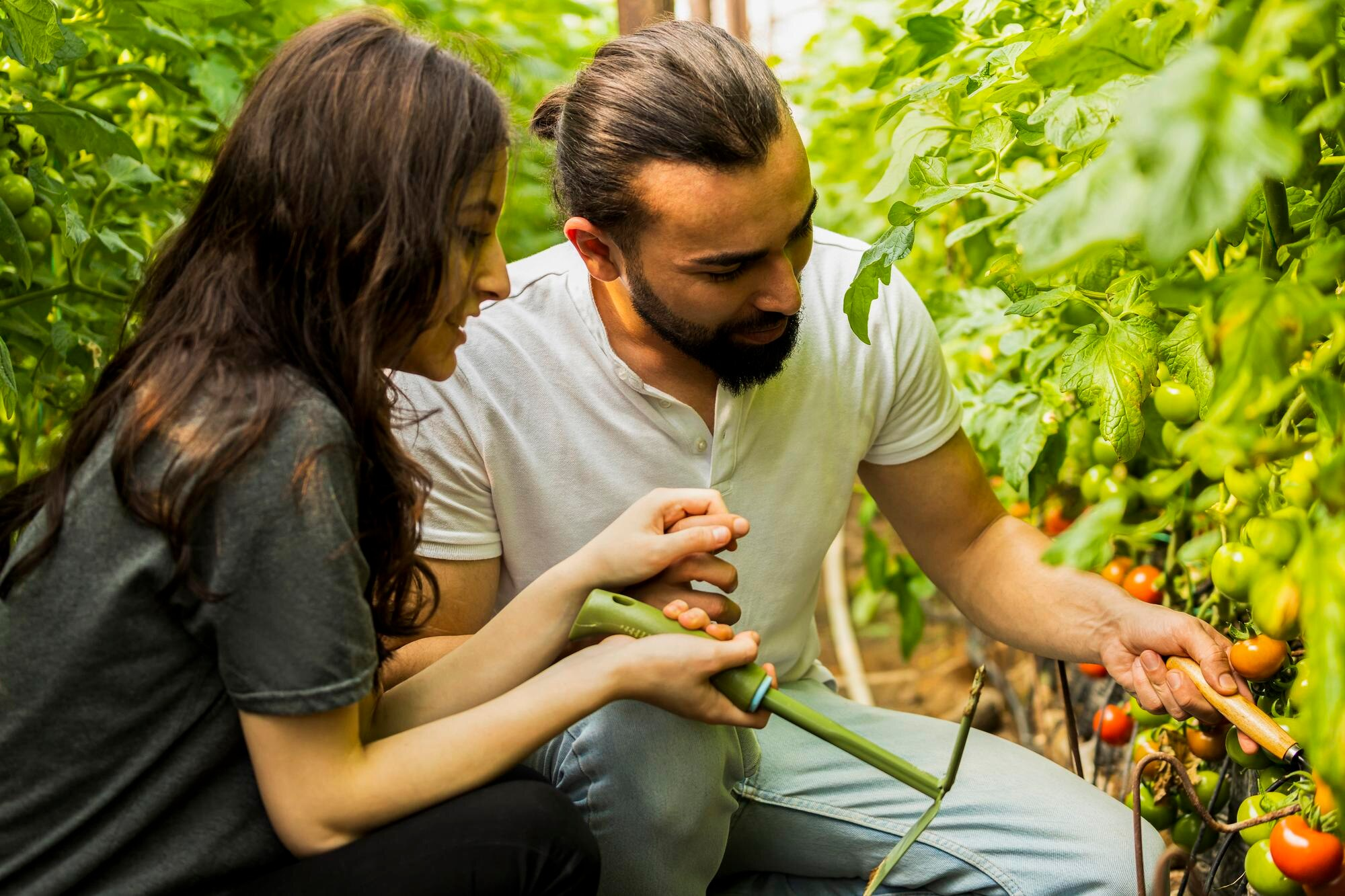 Organic farming initiative field and crop care